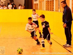 mini-Schlins-U9-Spiegl-DSC_1421